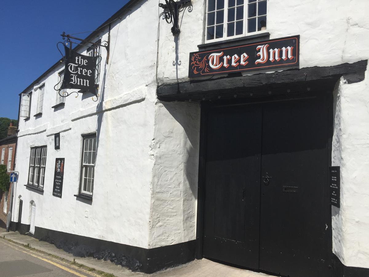 The Tree Inn 뷰드 외부 사진